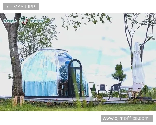 足球明星与蓝精灵的奇妙结合精美图片大全尽在这里