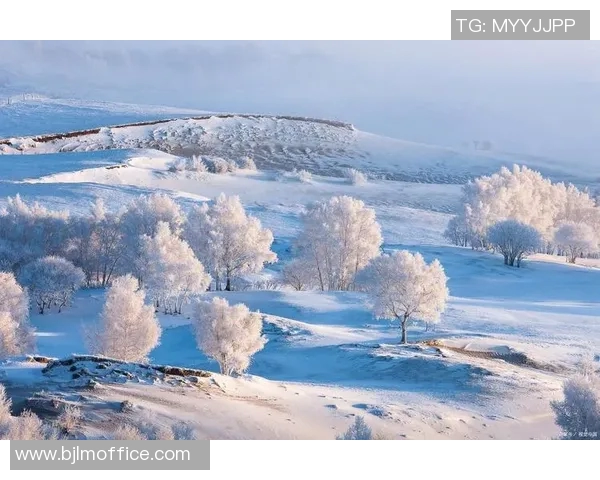 布莱克尼的魅力探秘:历史文化与自然风光的完美交融之旅 布莱克尼的魅力探秘:历史文化与自然风光的完美交融之旅