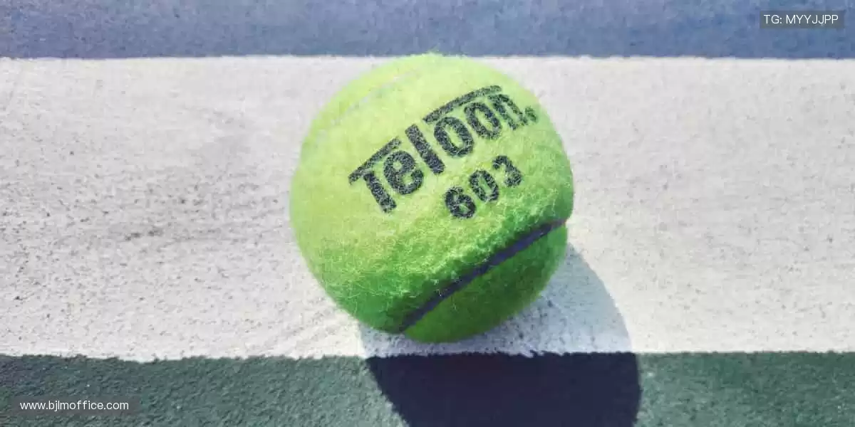 🎉 弹幕、解说、回放，直播乐趣不止于观看！